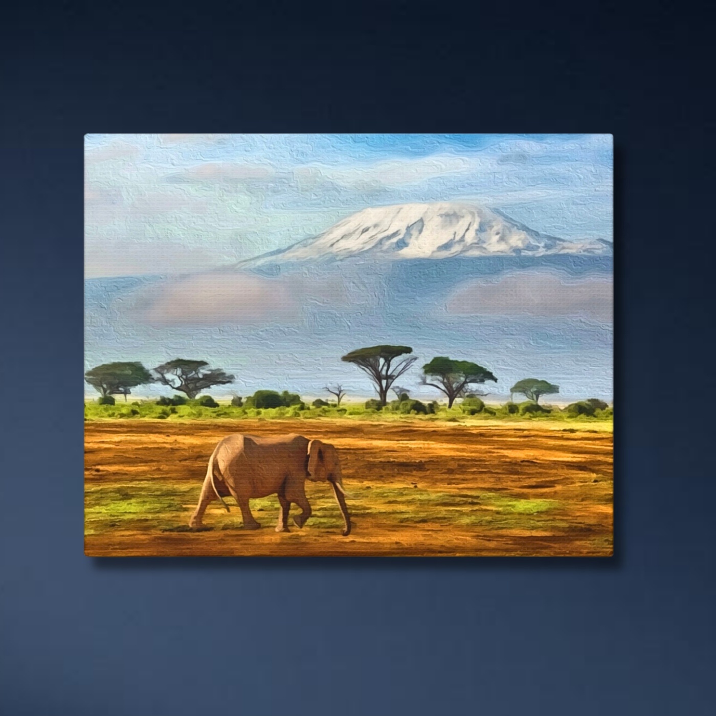 Amboseli, Kenya Study No. 4