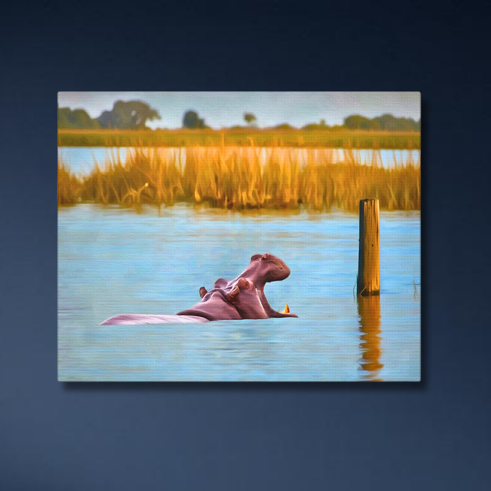 Maun, Botswana | Original Series Gallery Canvas detail