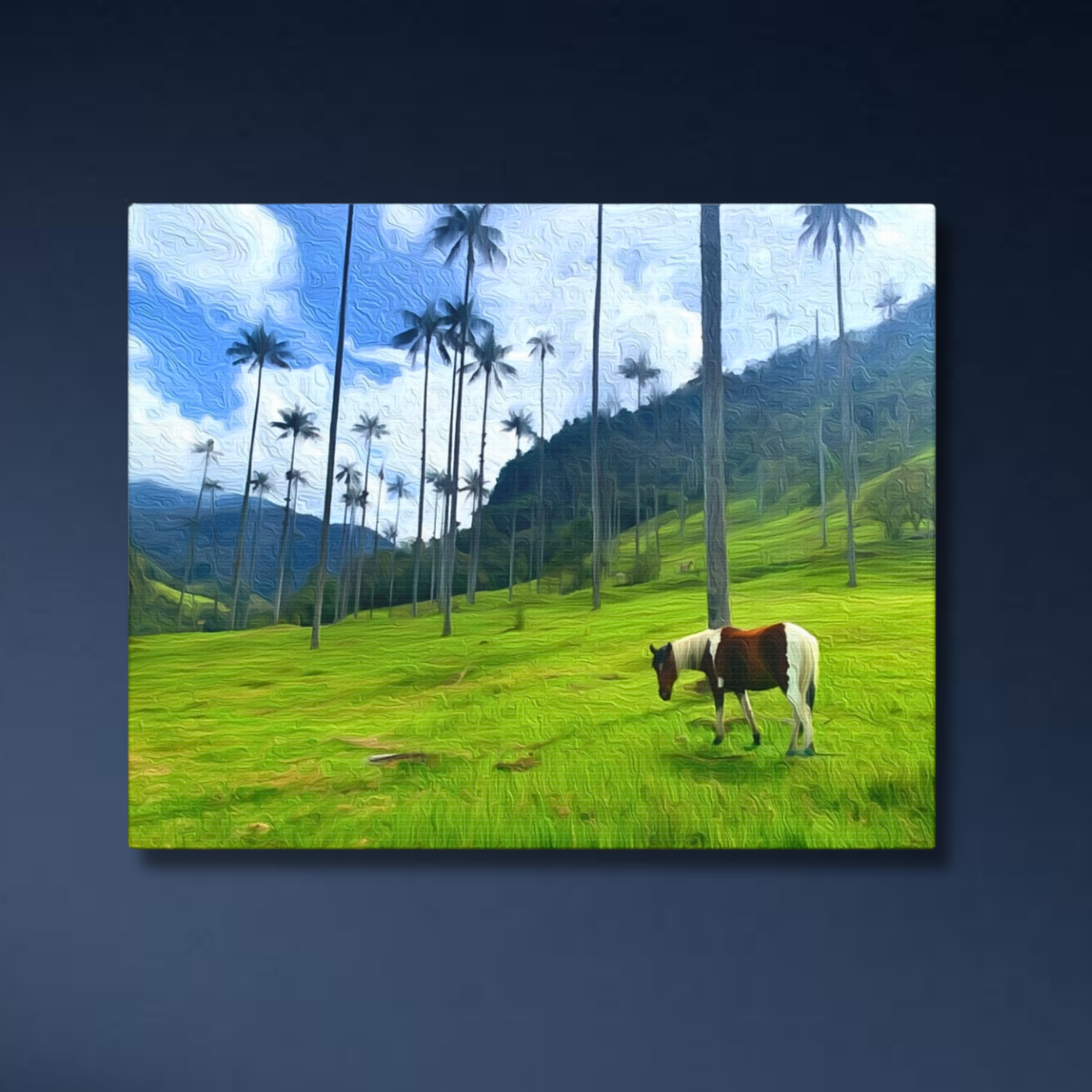 Cocora Wax Palm Forest — Research Area Study No. 4