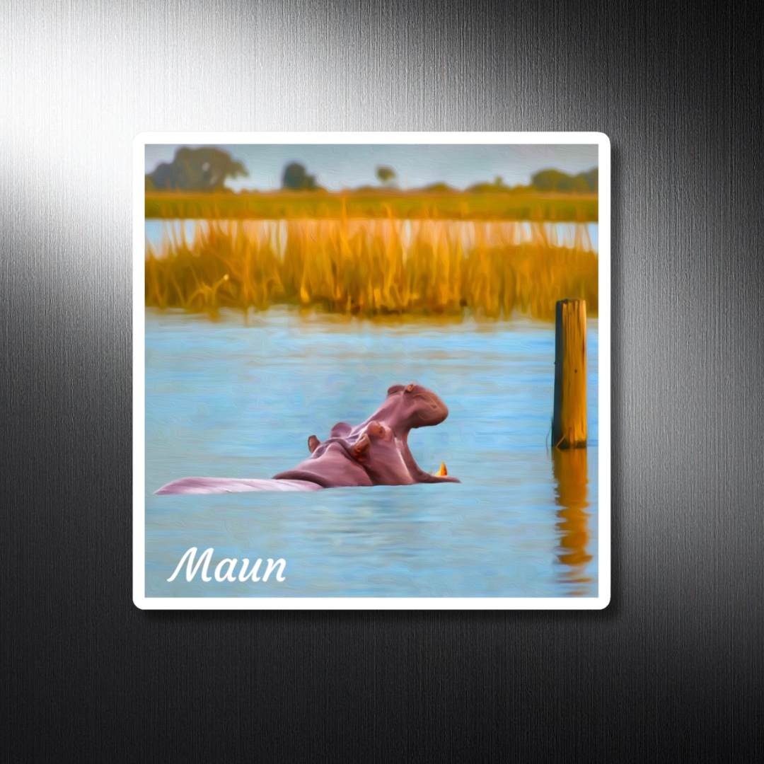 Maun, Botswana Study No. 1