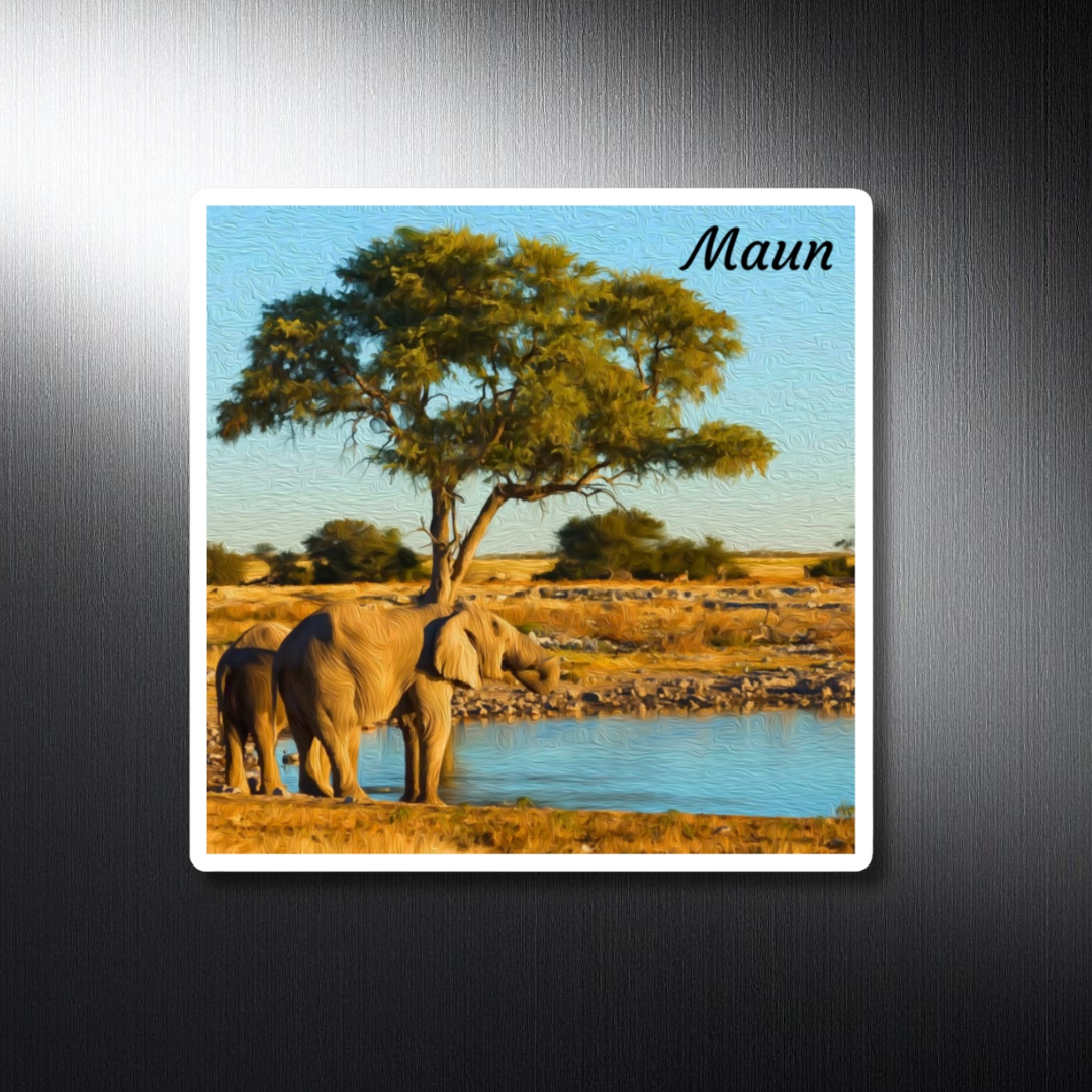 Maun, Botswana Study No. 1
