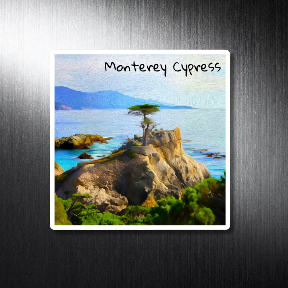 The Monterey Peninsula, California | Original Series Decorative Magnet | The Painted Passport®