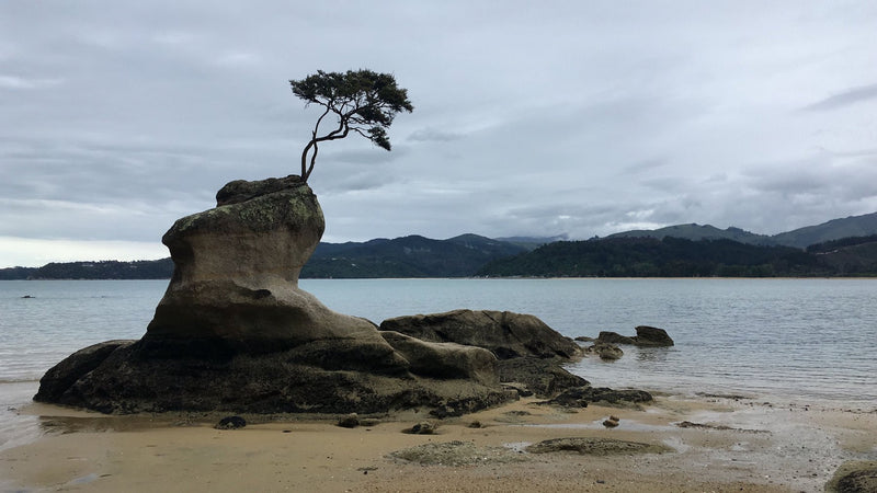 Abel Tasman National Park, New Zealand study No. 01