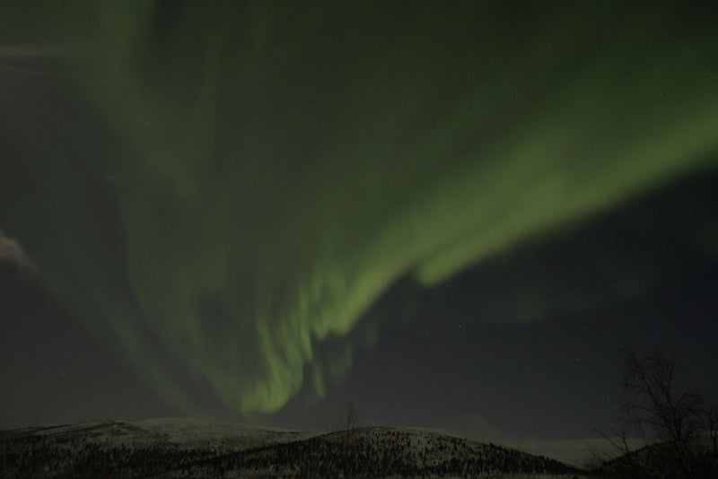 Abisko, Sweden study No. 01