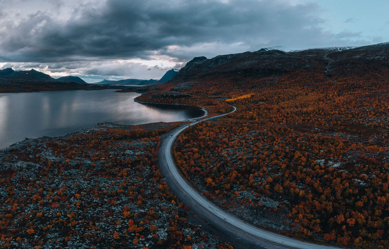 Abisko, Sweden study No. 02