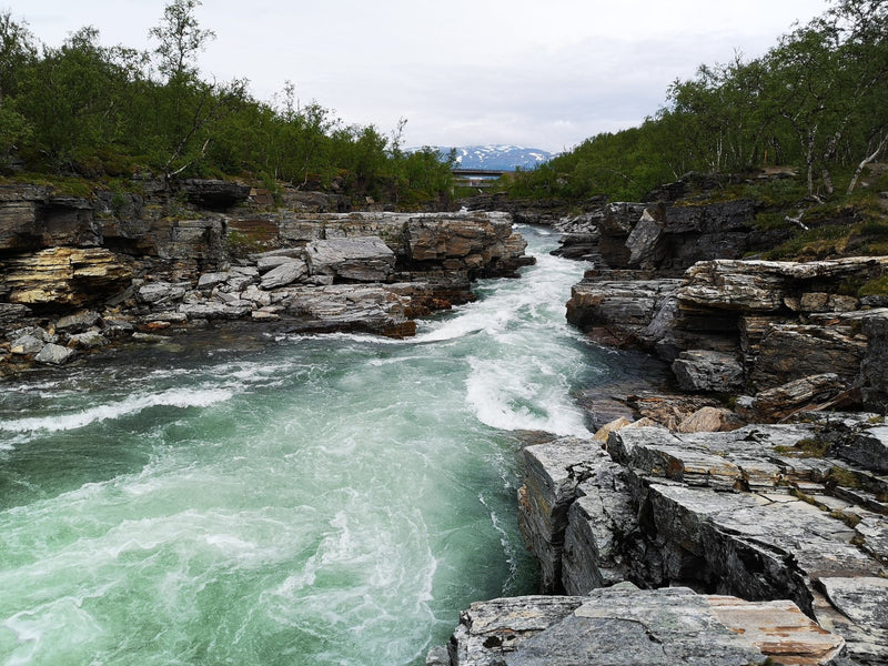 Abisko, Sweden study No. 03