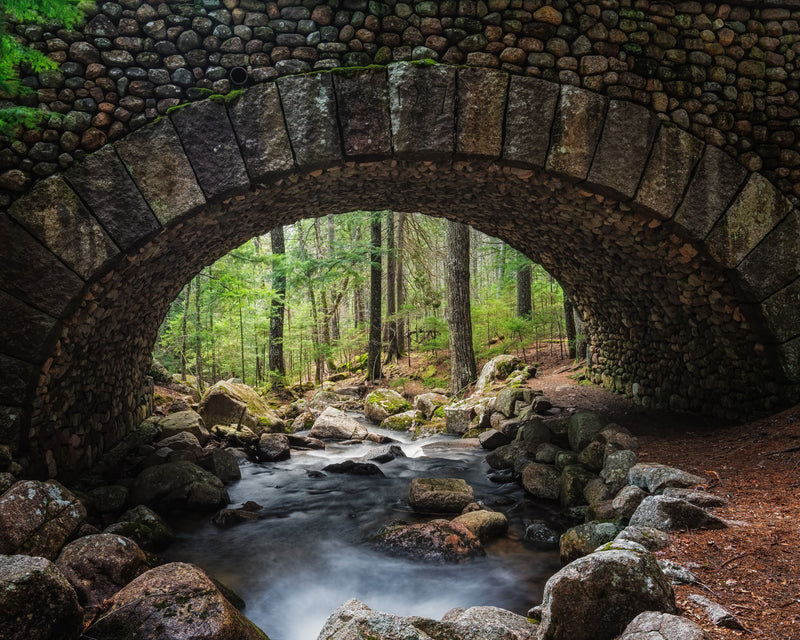 Acadia National Park, Maine study No. 03
