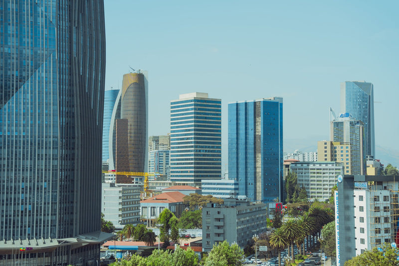 Addis Ababa, Ethiopia study No. 03