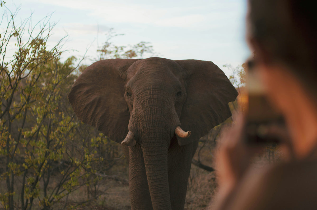 Victoria Falls, Zimbabwe study No. 02