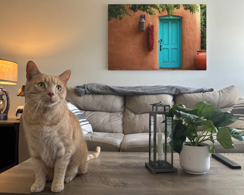 Adobe Doorway Red Chiles — Albuquerque Old Town, New Mexico, view 2