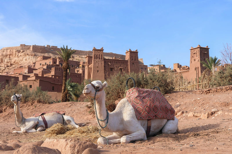 Ait Benhaddou, Morocco visual study 03