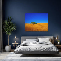 Golden Plains Lone Tree — study 2 thumbnail