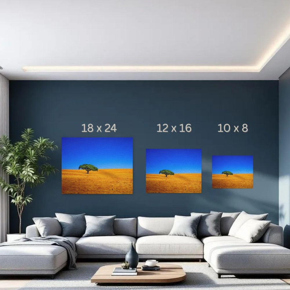 Alentejo, Portugal | Golden Plains Lone Tree | Original Series Gallery Canvas detail