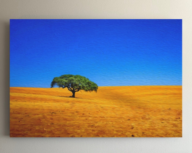 Golden Plains Lone Tree — Alentejo, Portugal