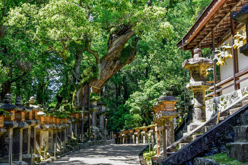 Nara, Japan visual study 02