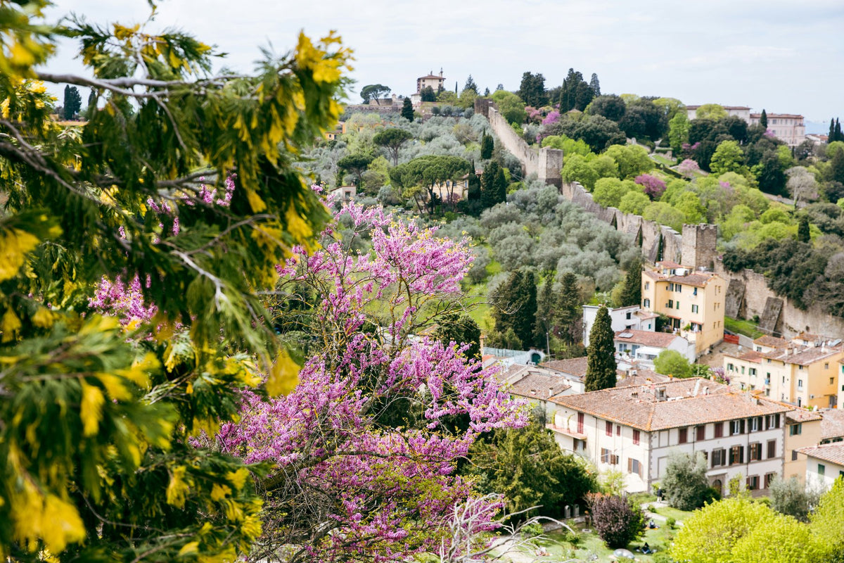 Florence, Italy study No. 03