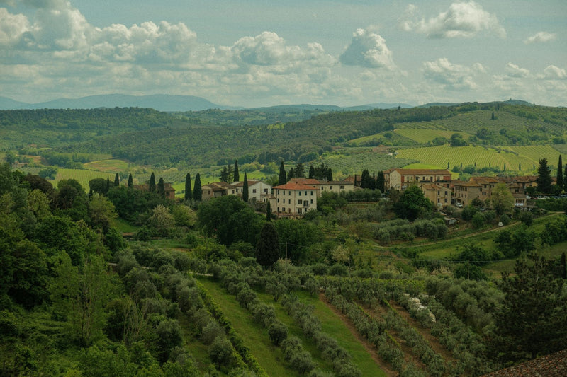 San Gimignano, Italy study No. 02