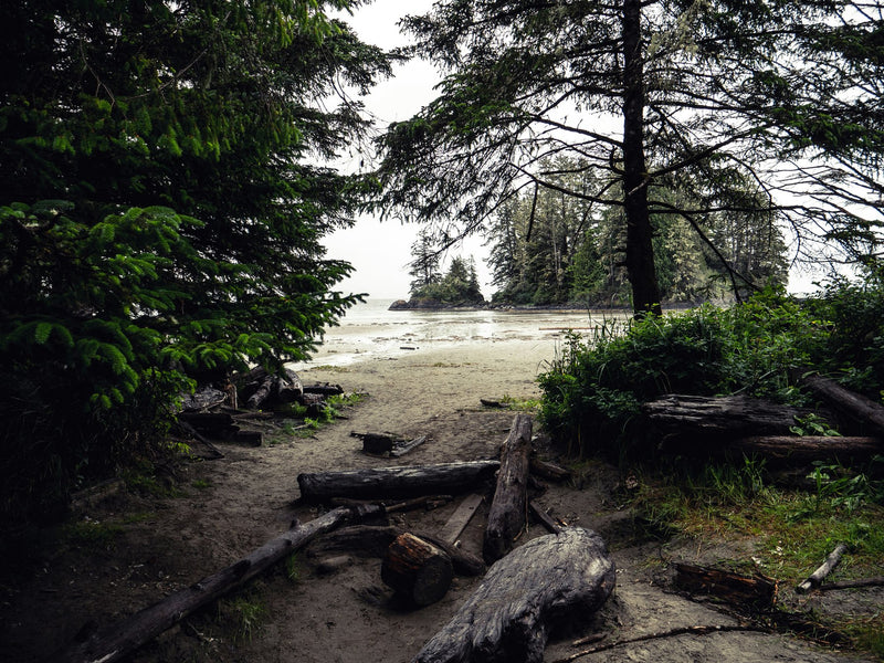 Tofino, British Columbia study No. 02