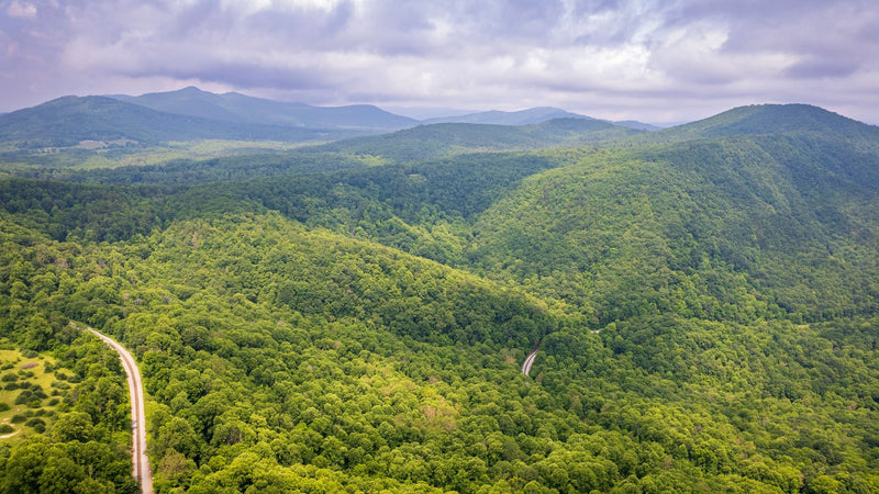 Asheville, North Carolina visual study 03
