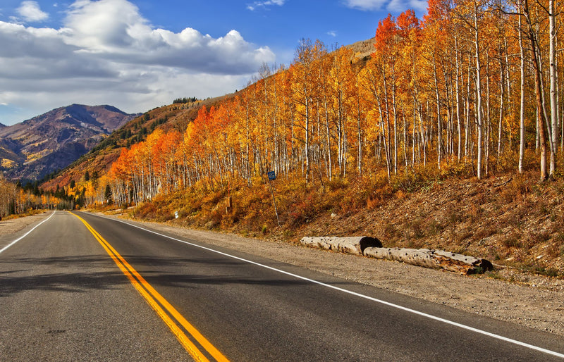 Aspen, Colorado visual study 02