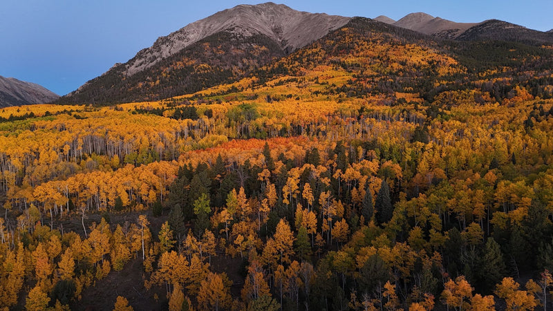 Aspen, Colorado visual study 03