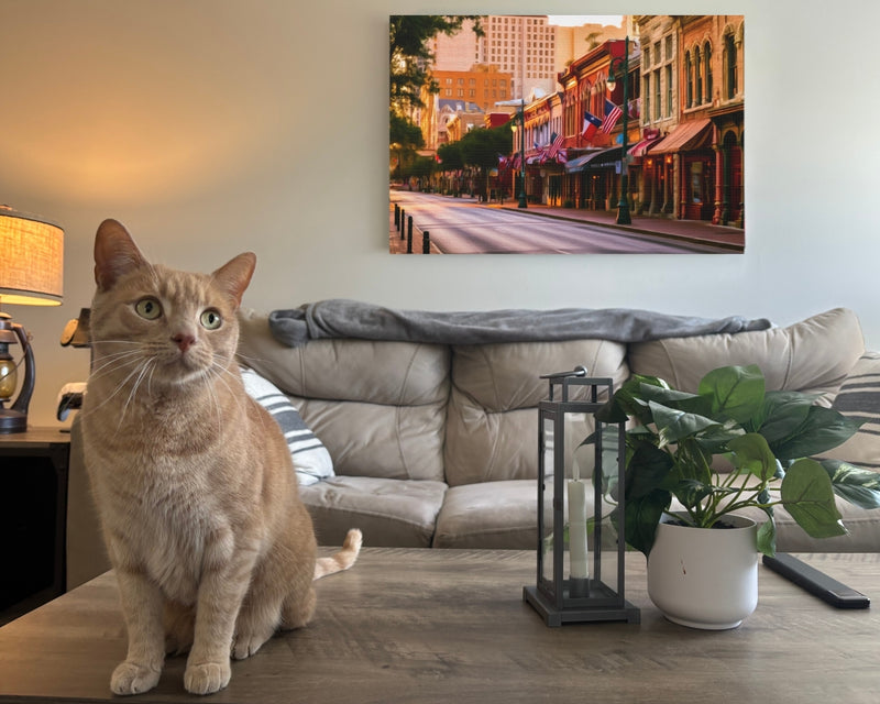 Sixth Street Historic District — Austin, Texas, view 2