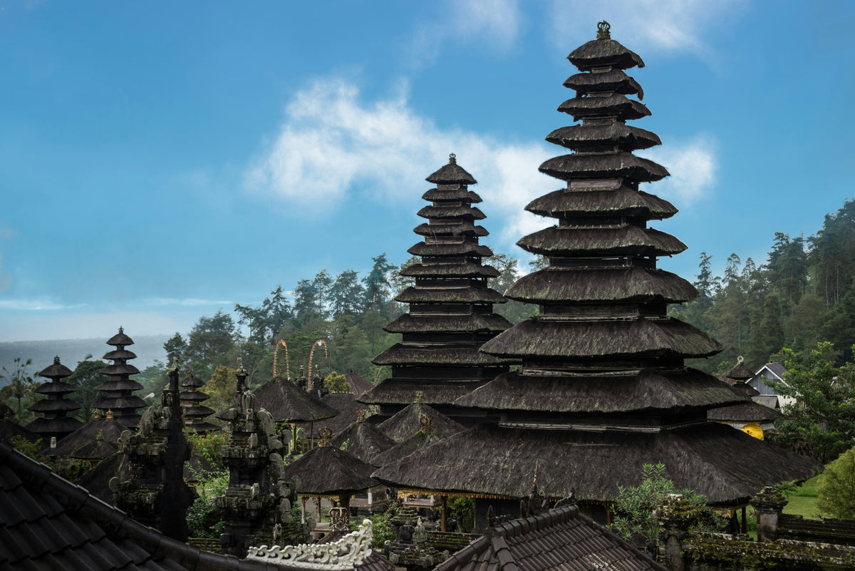 Bali, Indonesia study No. 03