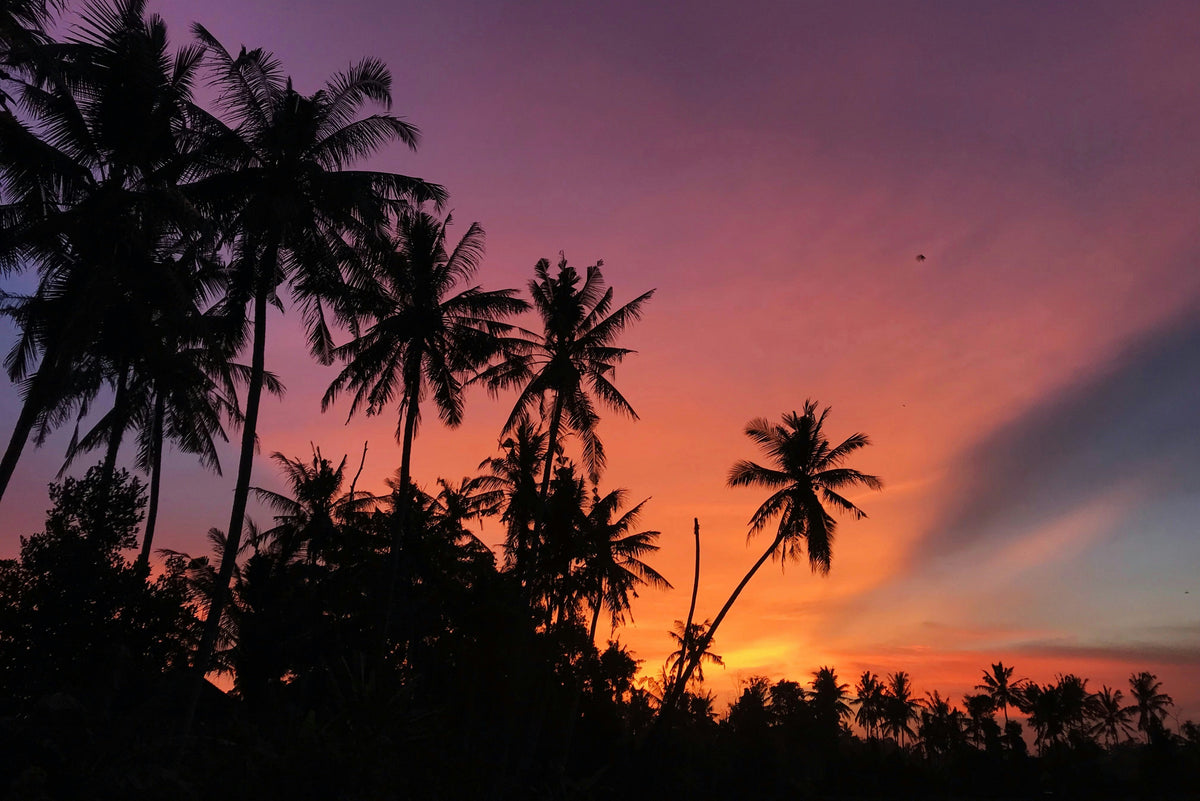 Bali, Indonesia study No. 01