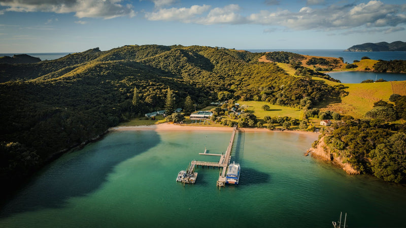 Bay of Islands, New Zealand study No. 01