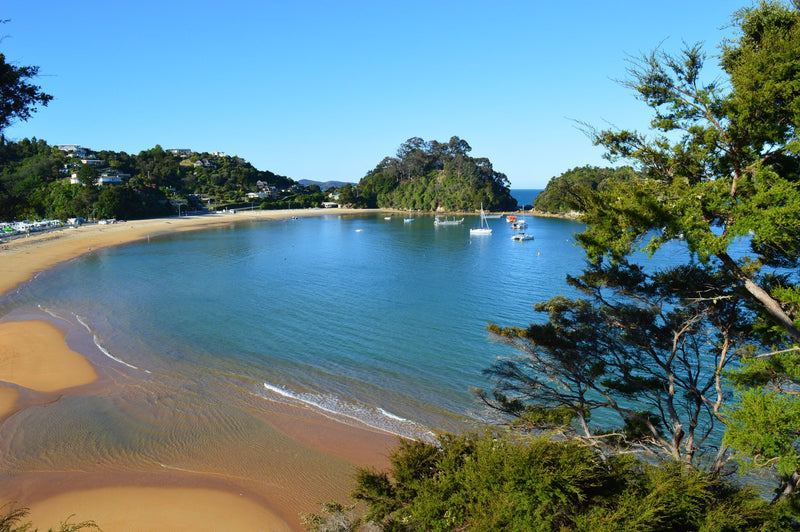 Bay of Islands, New Zealand study No. 03