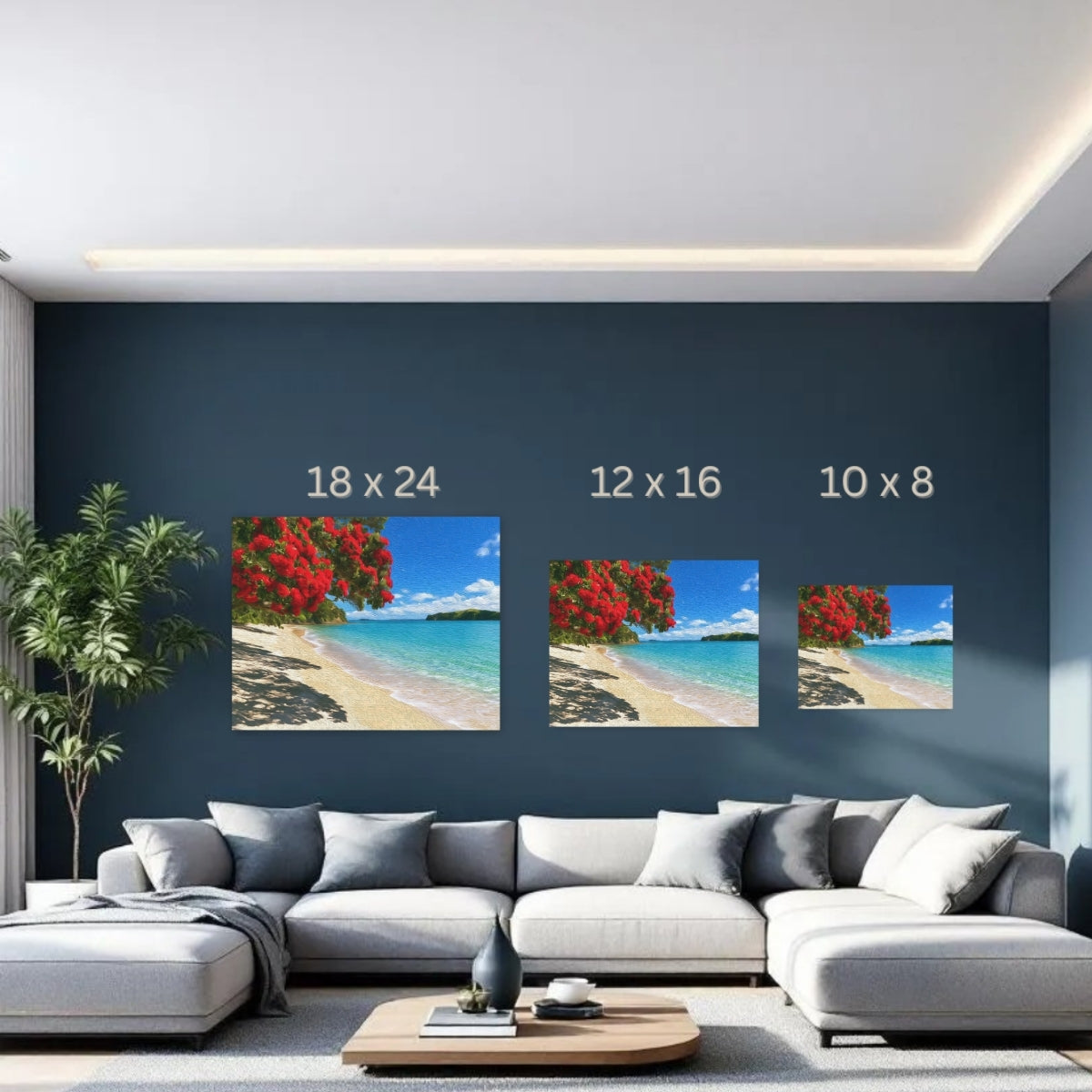 Pohutukawa Tree Beach — Bay of Islands, New Zealand, study 3