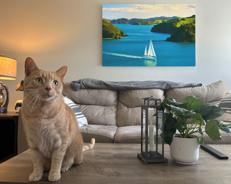 Bay of Islands Sailing Waters — Bay of Islands, New Zealand, view 2
