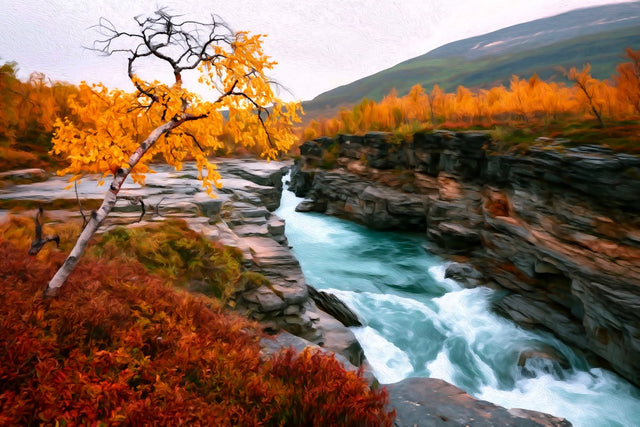 Abisko Canyon Rapids, Abisko watercolor canvas