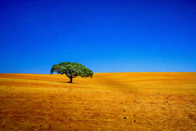 Alentejo watercolor canvas