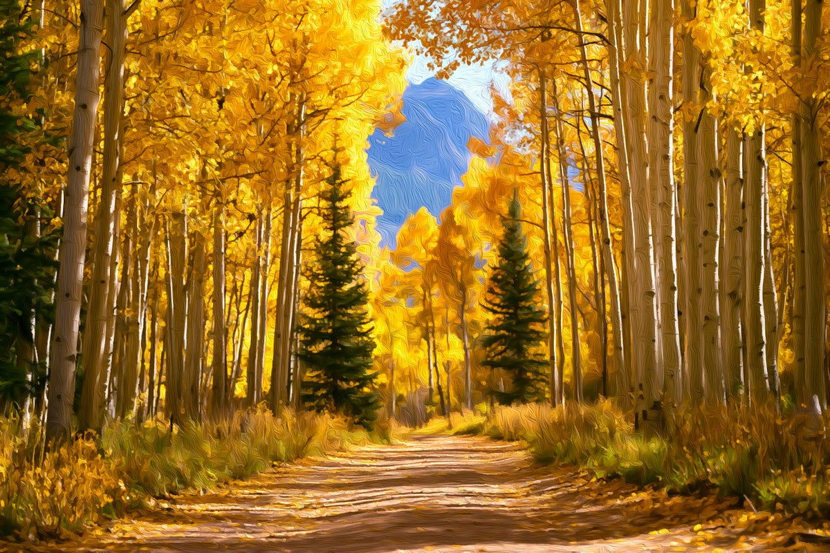 Aspen Grove Forest Path gallery canvas, unframed and in an espresso floating frame — Aspen, Colorado
