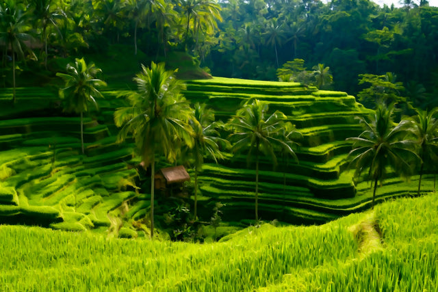 Tegallalang Rice Terraces, Bali watercolor canvas