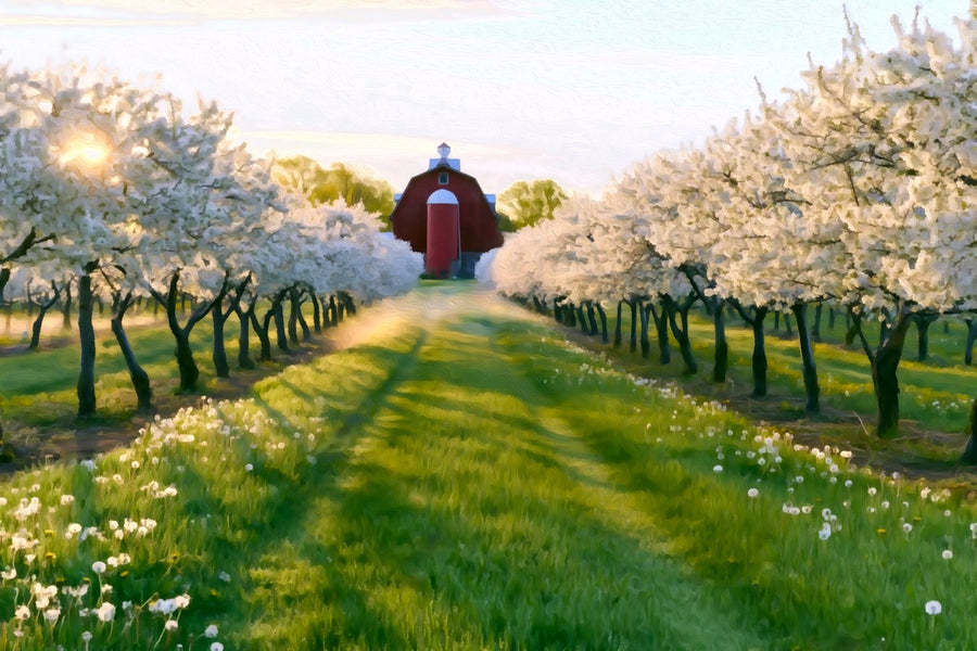 Door County Cherry Orchard Barn &mdash; Door County canvas