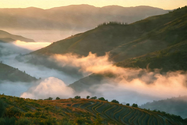 Douro Valley Terraced Vineyards, Douro Valley watercolor canvas
