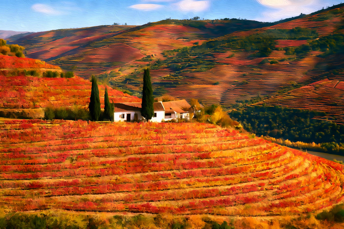 Douro Valley Autumn Vineyard gallery canvas, unframed and in an espresso floating frame — Douro Valley, Portugal