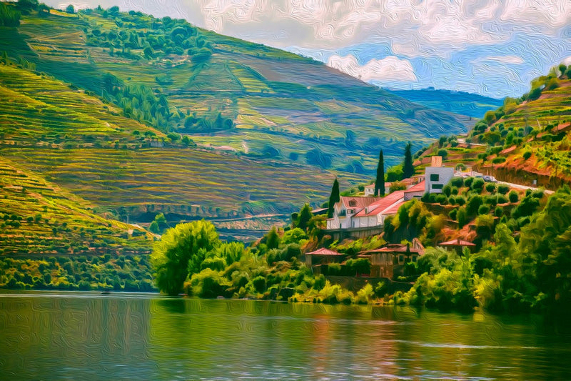 Terraced Vineyard River Valley, Douro Valley canvas