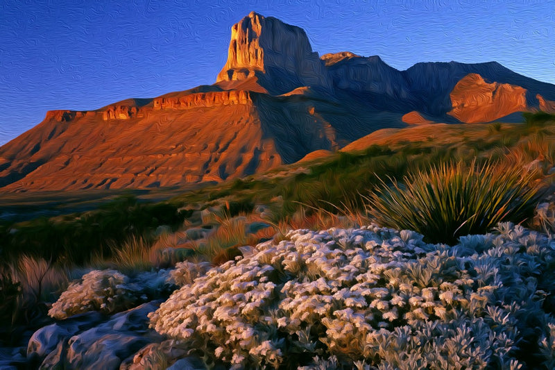 Guadalupe Peak Desert Bloom, Guadalupe Mountains canvas