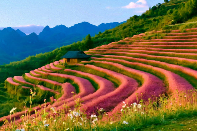 Ha Giang Terraced Fields, Ha Giang Loop watercolor canvas