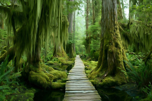 Haida Gwaii Rainforest Boardwalk, Haida Gwaii watercolor canvas