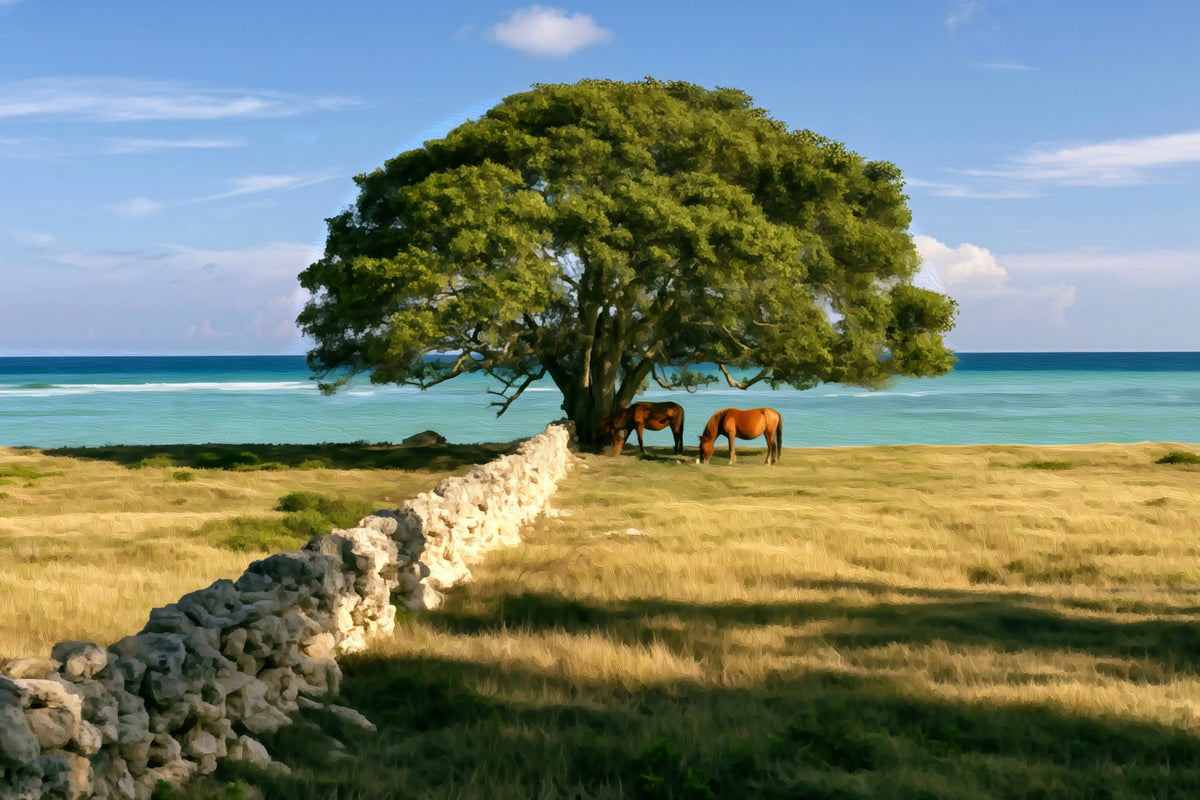 Jaffna Coastal Stone Wall Horses gallery canvas, unframed and in an espresso floating frame — Jaffna, Sri Lanka