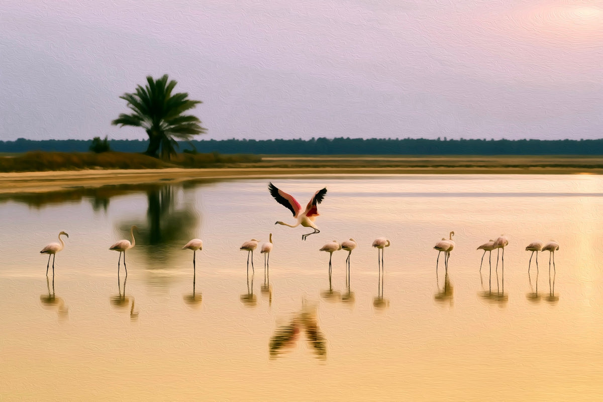 Jaffna Lagoon Flamingos gallery canvas, unframed and in an espresso floating frame — Jaffna, Sri Lanka