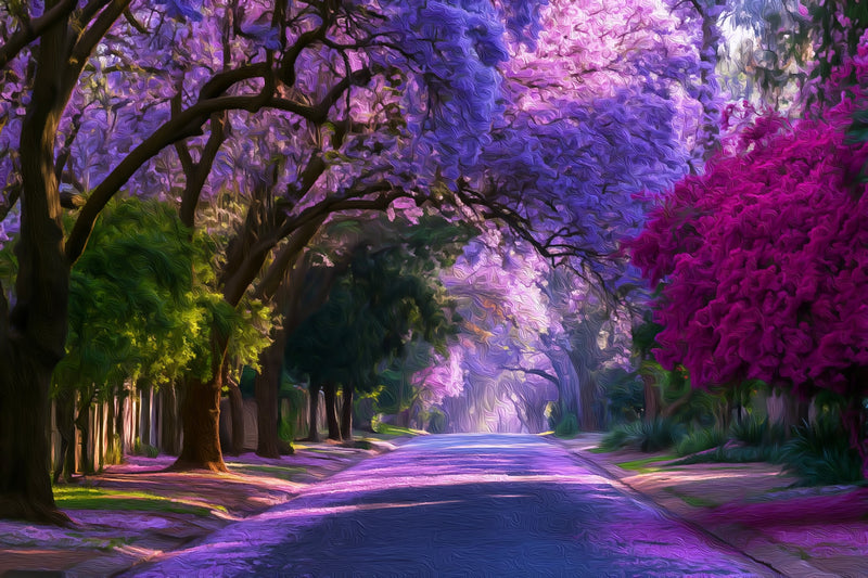 Jacaranda Tree Lined Street, Johannesburg canvas