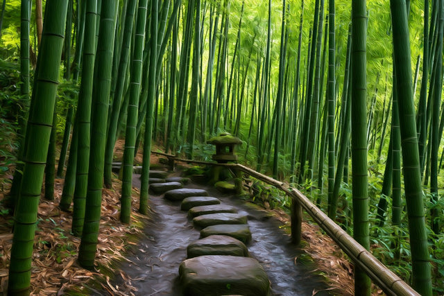 Bamboo Grove Stone Path, Kamakura watercolor canvas
