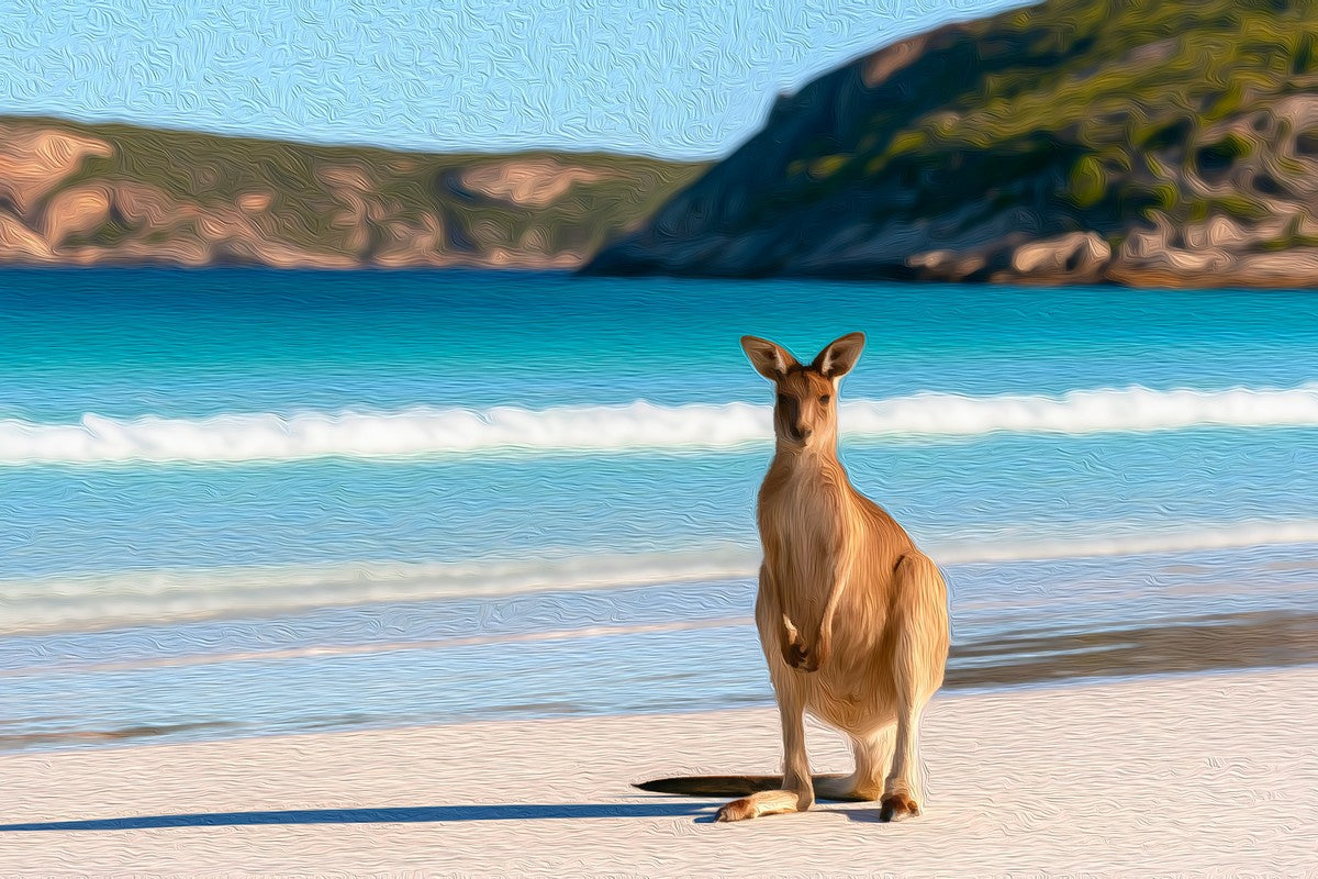 Lucky Bay Kangaroo Beach gallery canvas, unframed and in an espresso floating frame — Kangaroo Island, Australia