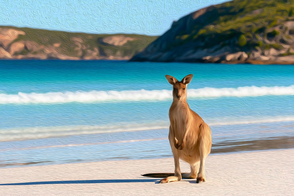 Lucky Bay Kangaroo Beach, Kangaroo Island watercolor canvas