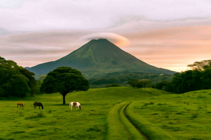Arenal Volcano Pastoral Meadow, La Fortuna canvas